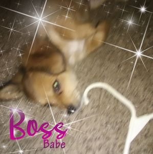 Meet your Posher, Scott